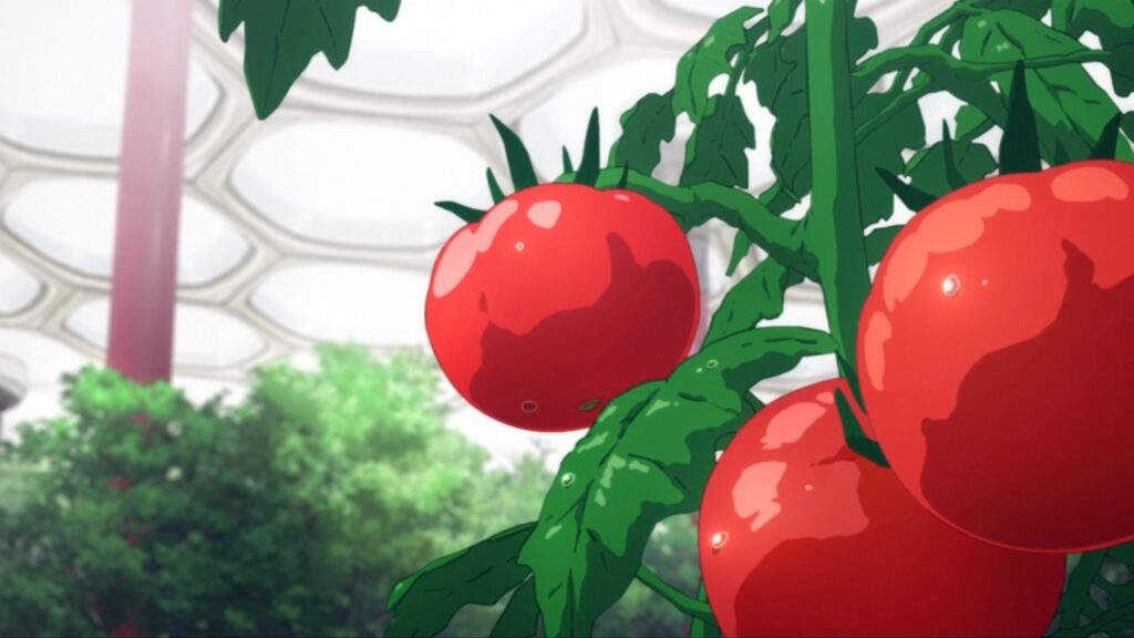 天國大魔境劇情伏筆丨5. 番茄是什麼意思？