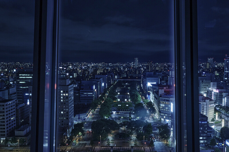 名古屋酒店2023 | The Tower Hotel Nagoya （久屋大通站）
