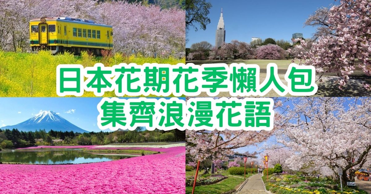 日本花季2023｜日本花期花季懶人包、集齊浪漫花語