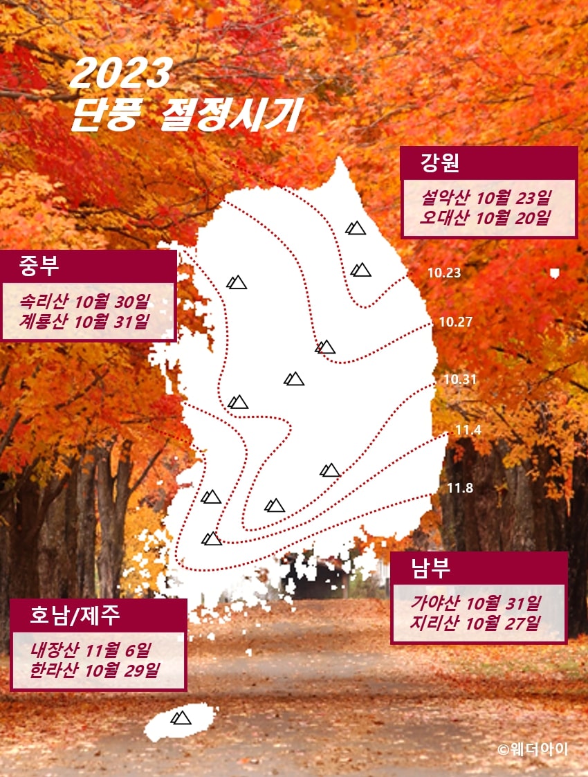 韓國紅葉2023｜紅葉地圖