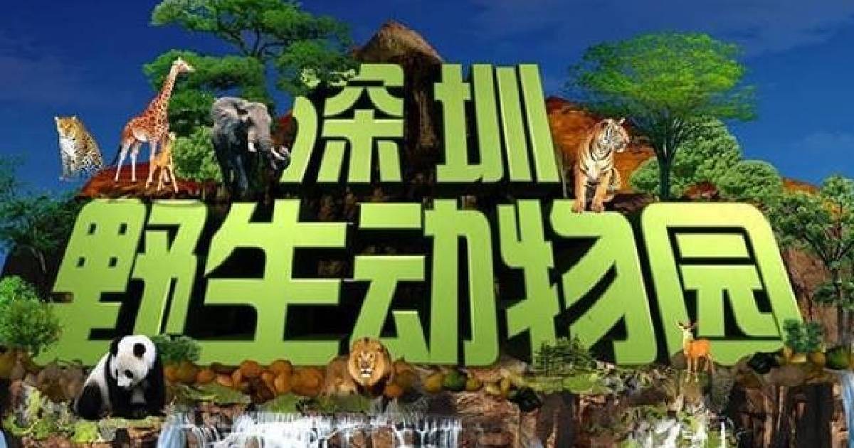 深圳野生動物園全攻略｜優惠門票預訂、交通、體驗項目推薦
