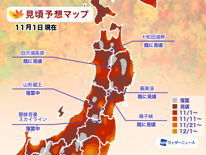日本紅葉觀賞期預測｜東北地區