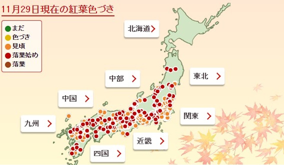 日本紅葉2023｜最新紅葉情報