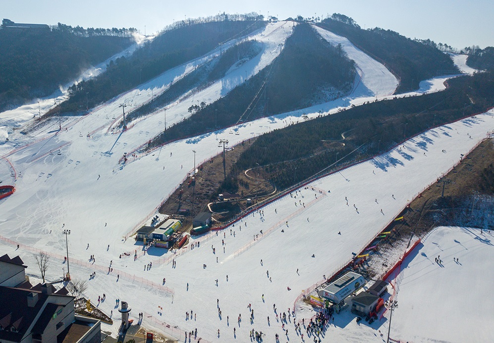 韓國滑雪2024｜江原道 4. 阿爾卑西亞滑雪度假村