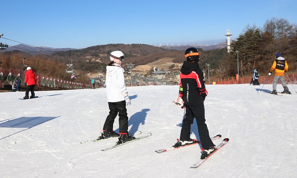 韓國滑雪2024｜江原道 4. 阿爾卑西亞滑雪度假村