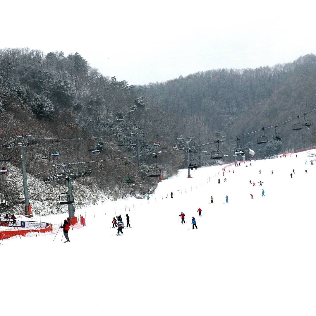 韓國滑雪2024｜江原道 1. Elysian 伊利希安江村滑雪場