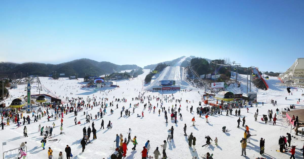 韓國滑雪2024｜江原道 5. 威利希利滑雪場