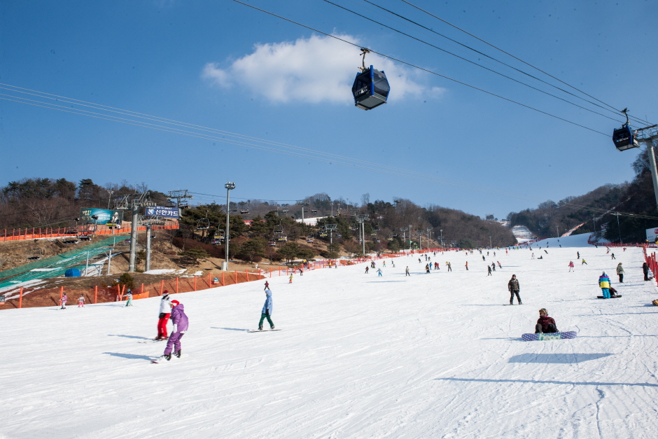 韓國滑雪2024｜江原道 6. 洪川大明維瓦爾第Sono度假村