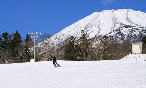 日本滑雪 | 靜岡縣 3.  富士山二合目Yeti