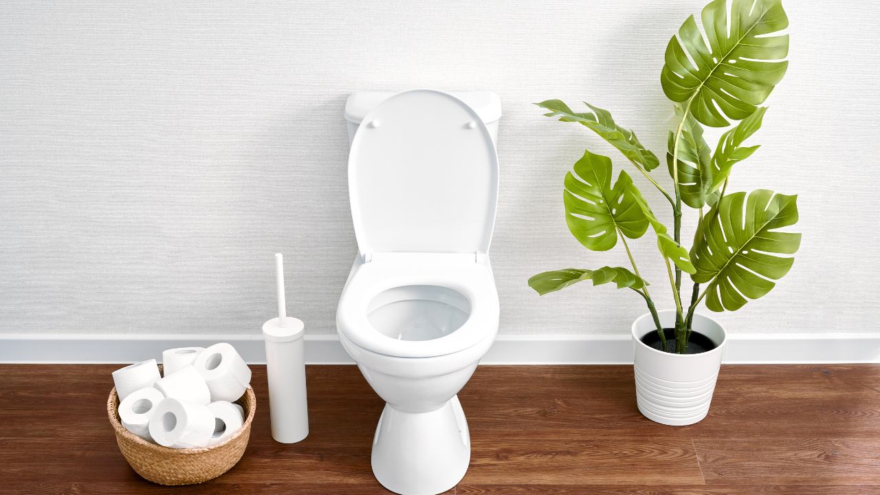 廁所水箱清潔劑丨用咩先啱？1招3步輕鬆對抗發霉、臭味馬桶！