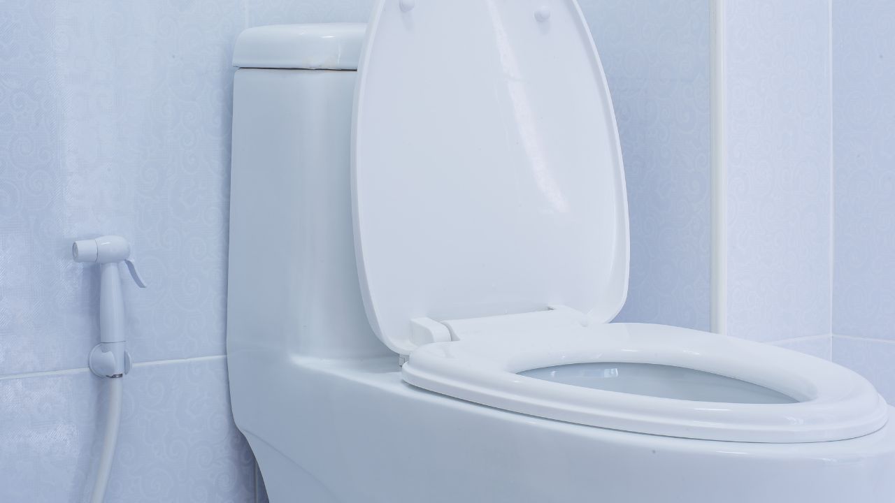 廁所水箱清潔劑丨 清潔劑種類