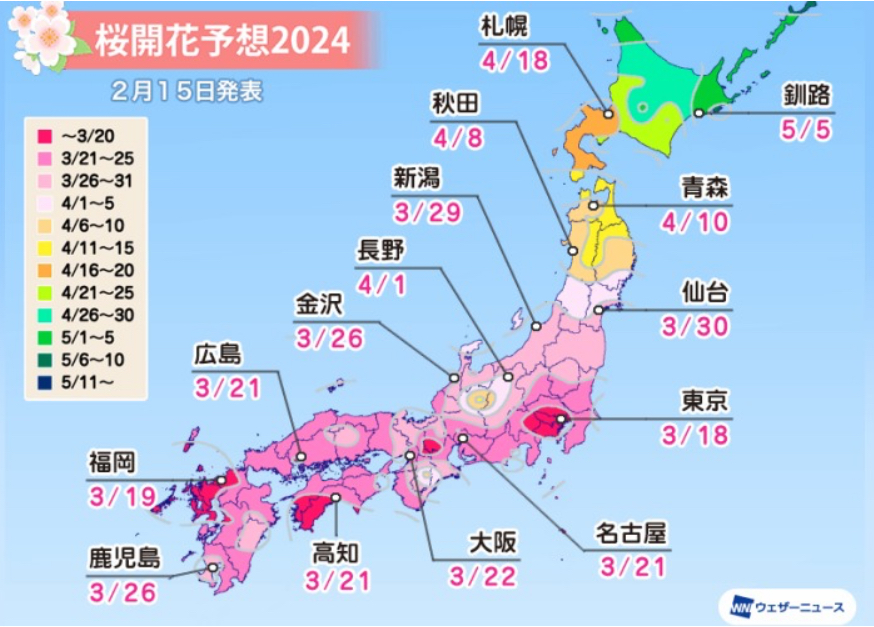 日本櫻花預測2024｜櫻花開花地圖 Weather News