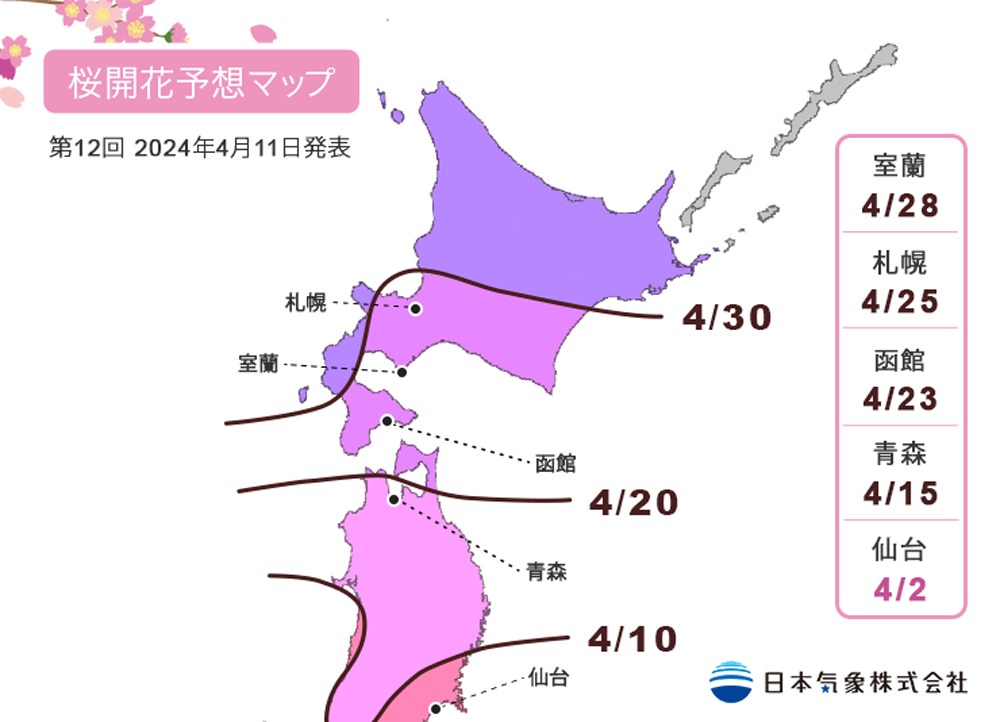 日本櫻花預測2024 櫻花開花地圖