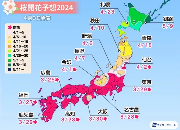日本櫻花預測2024 櫻花開花地圖